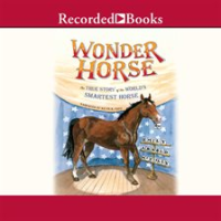 Wonder_Horse